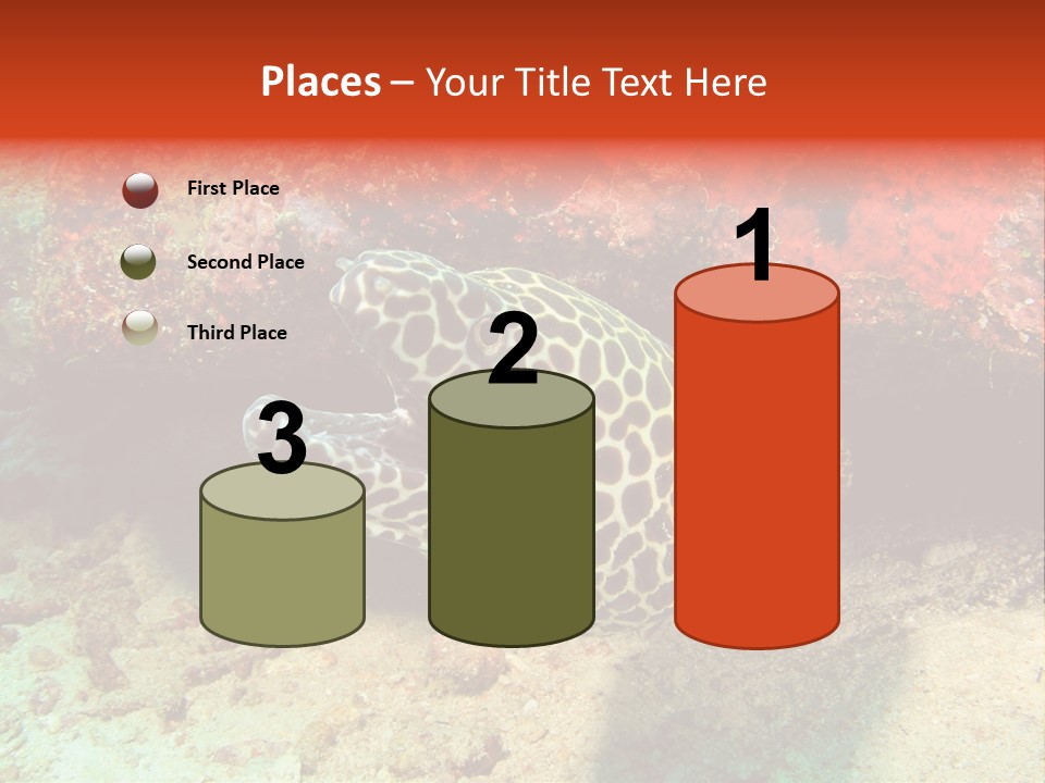 A Large Turtle Is Laying On The Ocean Floor PowerPoint Template