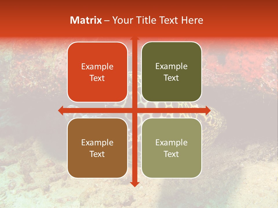 A Large Turtle Is Laying On The Ocean Floor PowerPoint Template