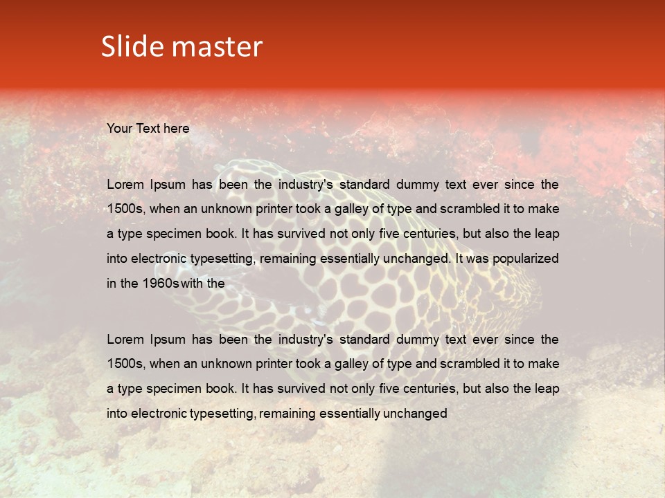 A Large Turtle Is Laying On The Ocean Floor PowerPoint Template