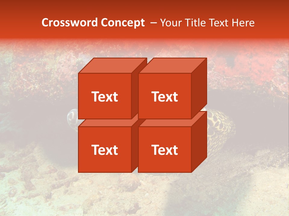 A Large Turtle Is Laying On The Ocean Floor PowerPoint Template