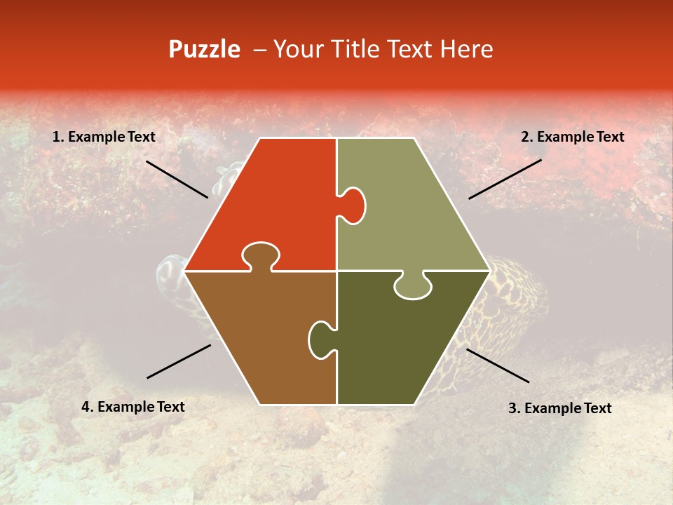 A Large Turtle Is Laying On The Ocean Floor PowerPoint Template