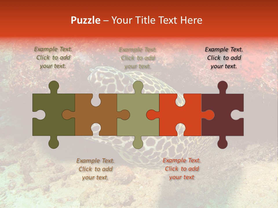 A Large Turtle Is Laying On The Ocean Floor PowerPoint Template