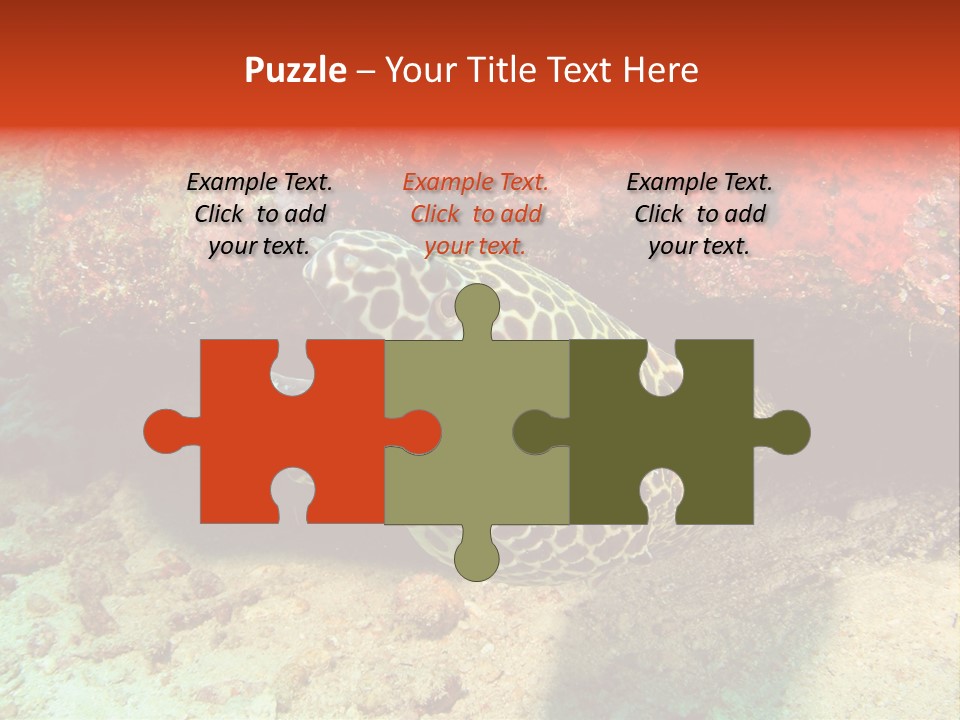 A Large Turtle Is Laying On The Ocean Floor PowerPoint Template