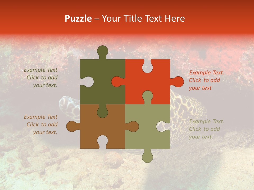 A Large Turtle Is Laying On The Ocean Floor PowerPoint Template