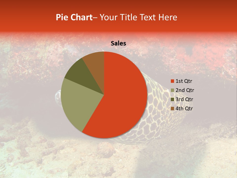 A Large Turtle Is Laying On The Ocean Floor PowerPoint Template