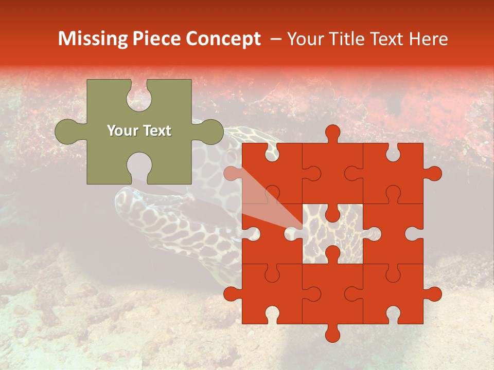 A Large Turtle Is Laying On The Ocean Floor PowerPoint Template