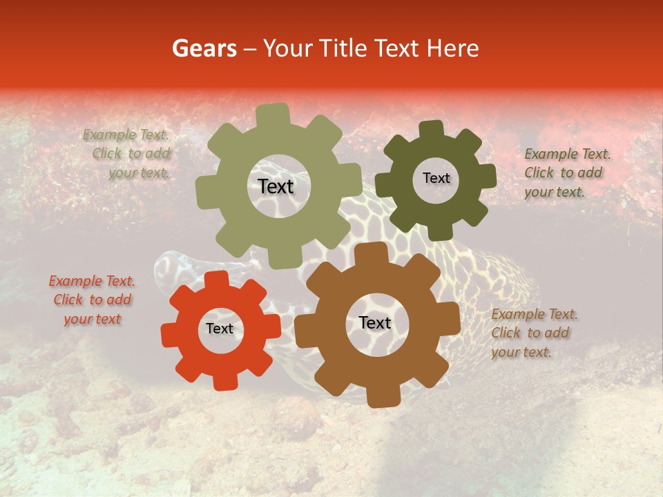 A Large Turtle Is Laying On The Ocean Floor PowerPoint Template