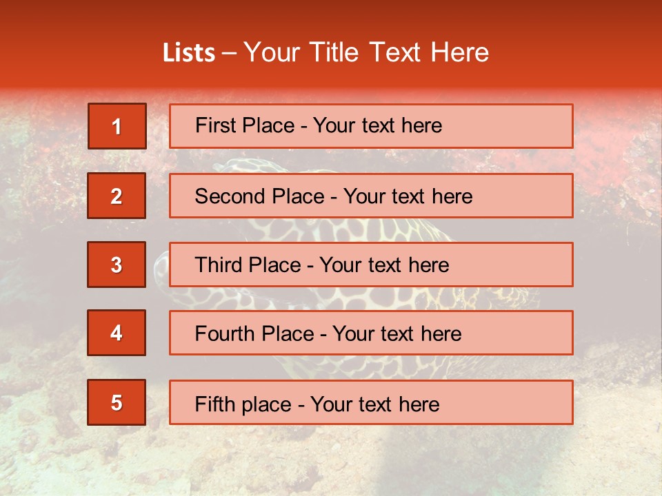 A Large Turtle Is Laying On The Ocean Floor PowerPoint Template