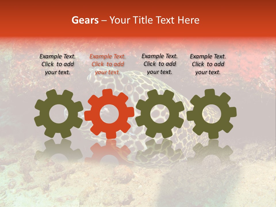 A Large Turtle Is Laying On The Ocean Floor PowerPoint Template