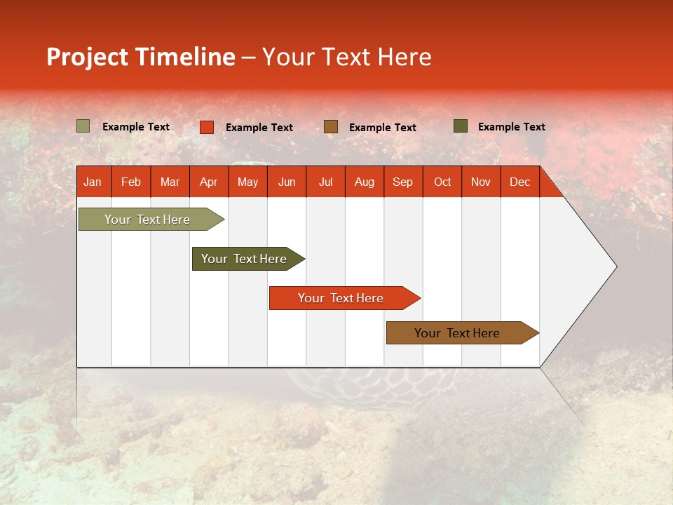 A Large Turtle Is Laying On The Ocean Floor PowerPoint Template