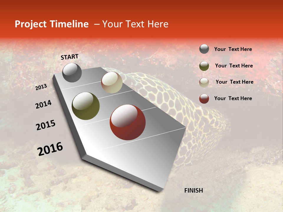 A Large Turtle Is Laying On The Ocean Floor PowerPoint Template