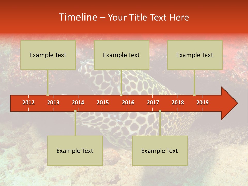 A Large Turtle Is Laying On The Ocean Floor PowerPoint Template