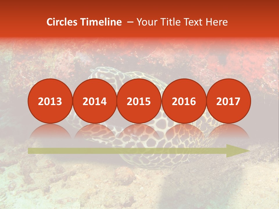 A Large Turtle Is Laying On The Ocean Floor PowerPoint Template