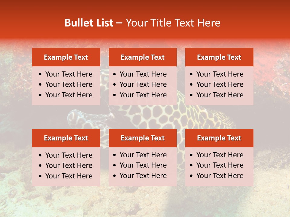 A Large Turtle Is Laying On The Ocean Floor PowerPoint Template