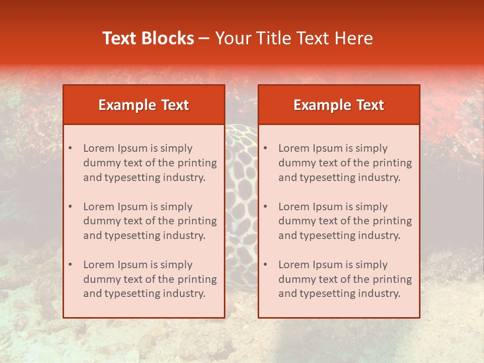 A Large Turtle Is Laying On The Ocean Floor PowerPoint Template