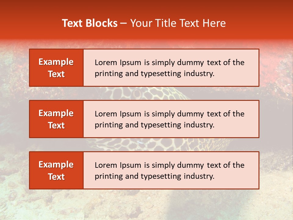 A Large Turtle Is Laying On The Ocean Floor PowerPoint Template