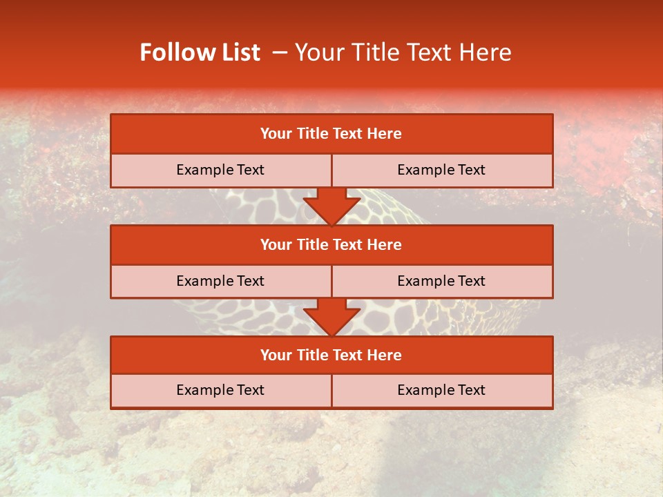 A Large Turtle Is Laying On The Ocean Floor PowerPoint Template