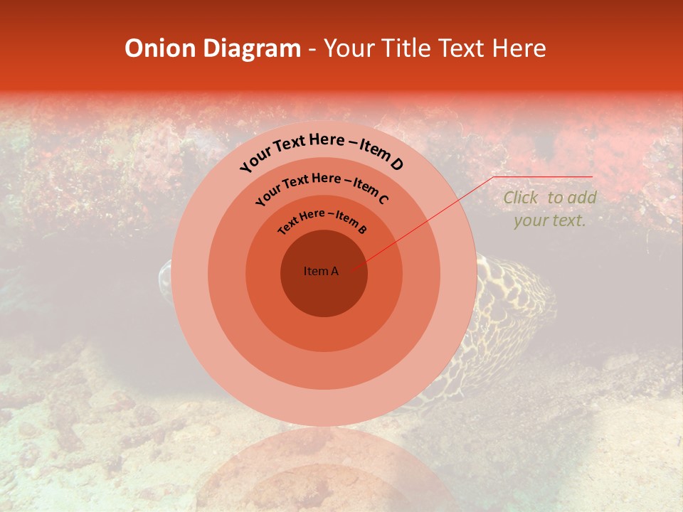 A Large Turtle Is Laying On The Ocean Floor PowerPoint Template