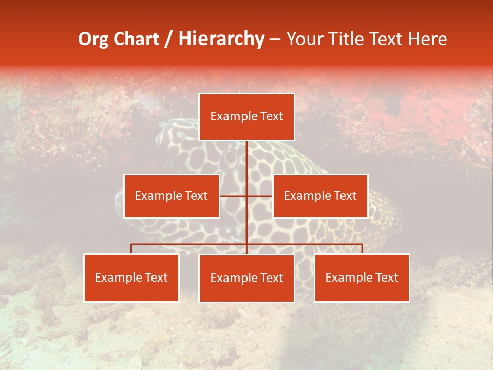 A Large Turtle Is Laying On The Ocean Floor PowerPoint Template