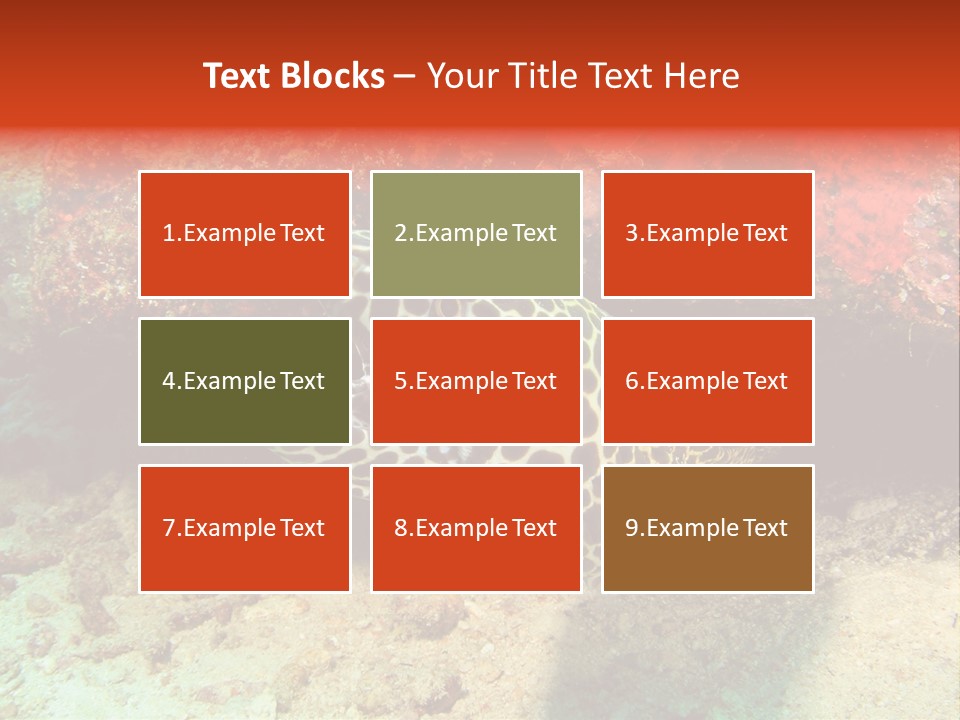 A Large Turtle Is Laying On The Ocean Floor PowerPoint Template