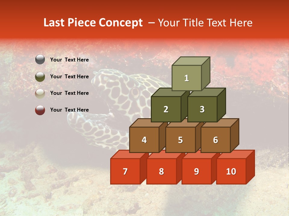 A Large Turtle Is Laying On The Ocean Floor PowerPoint Template