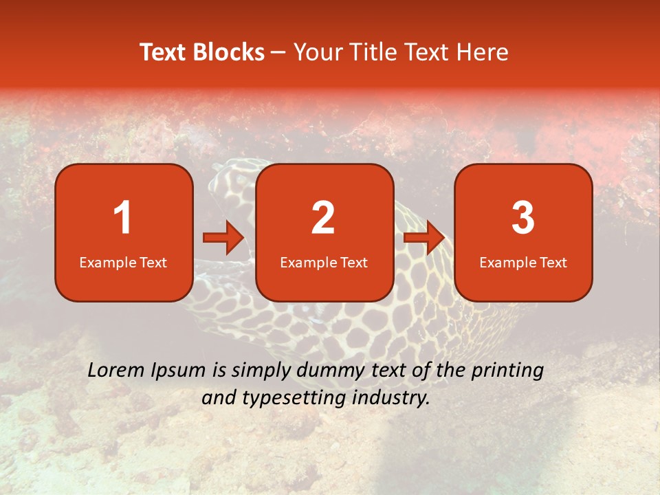 A Large Turtle Is Laying On The Ocean Floor PowerPoint Template