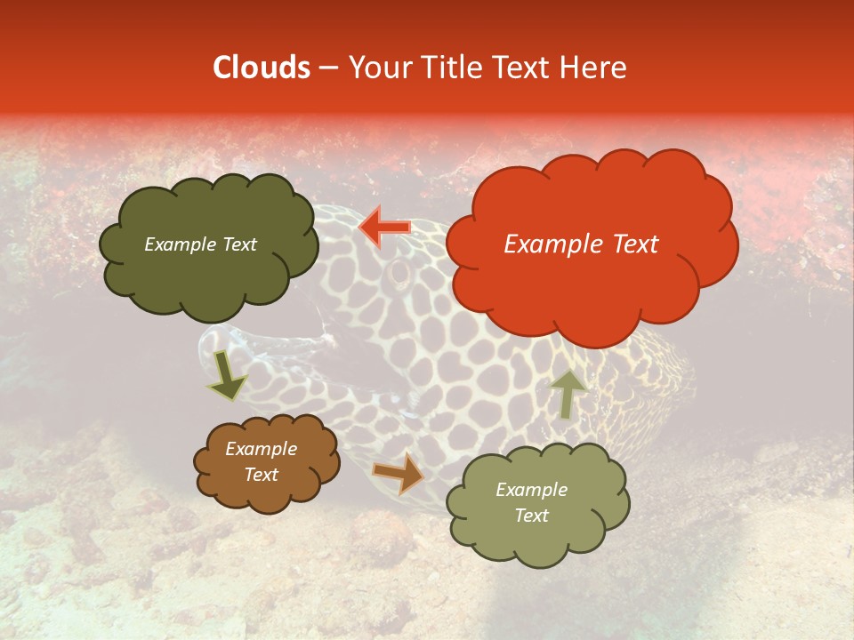 A Large Turtle Is Laying On The Ocean Floor PowerPoint Template