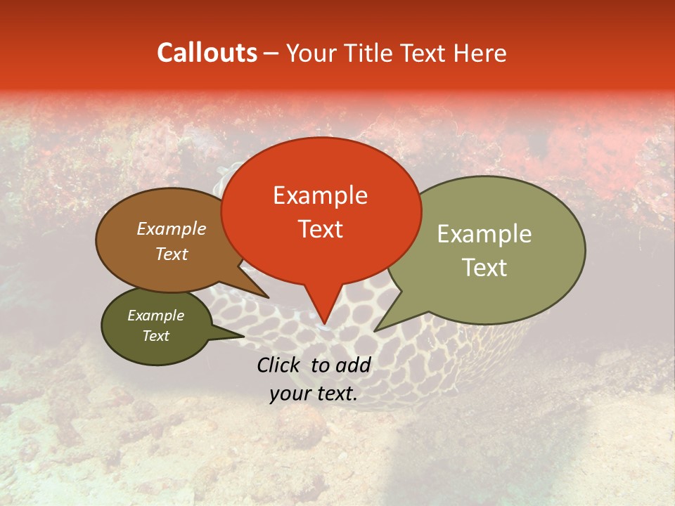 A Large Turtle Is Laying On The Ocean Floor PowerPoint Template