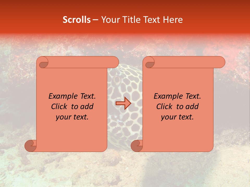 A Large Turtle Is Laying On The Ocean Floor PowerPoint Template