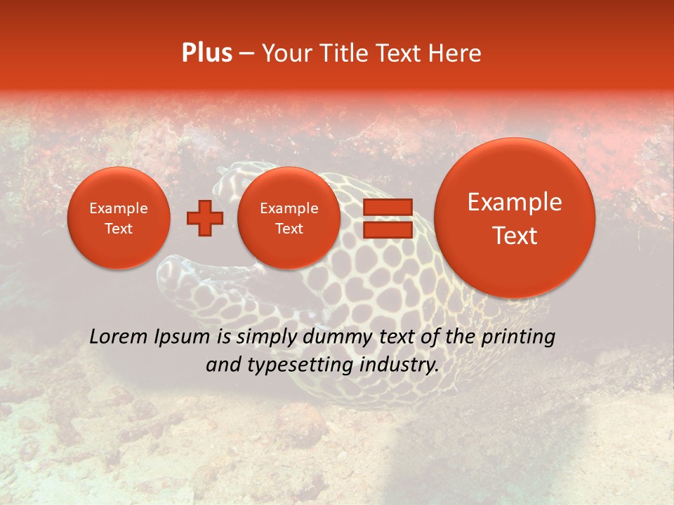 A Large Turtle Is Laying On The Ocean Floor PowerPoint Template