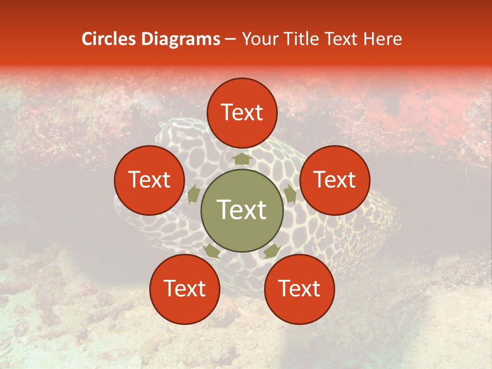 A Large Turtle Is Laying On The Ocean Floor PowerPoint Template