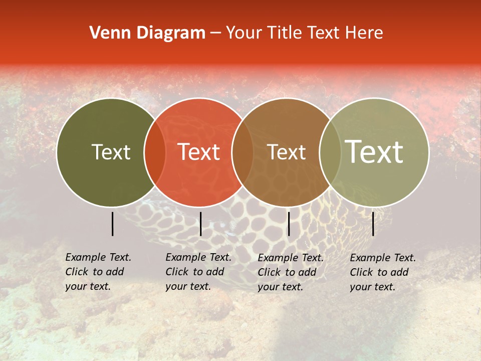A Large Turtle Is Laying On The Ocean Floor PowerPoint Template