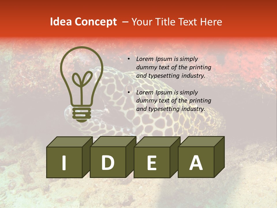 A Large Turtle Is Laying On The Ocean Floor PowerPoint Template