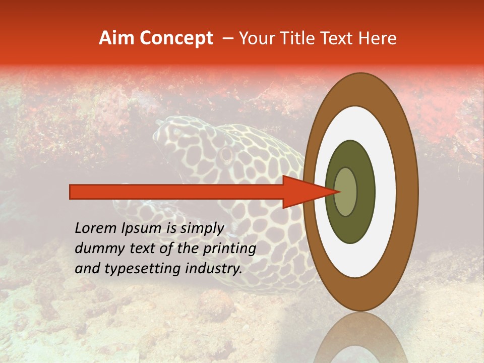 A Large Turtle Is Laying On The Ocean Floor PowerPoint Template