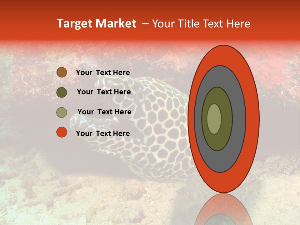 A Large Turtle Is Laying On The Ocean Floor PowerPoint Template