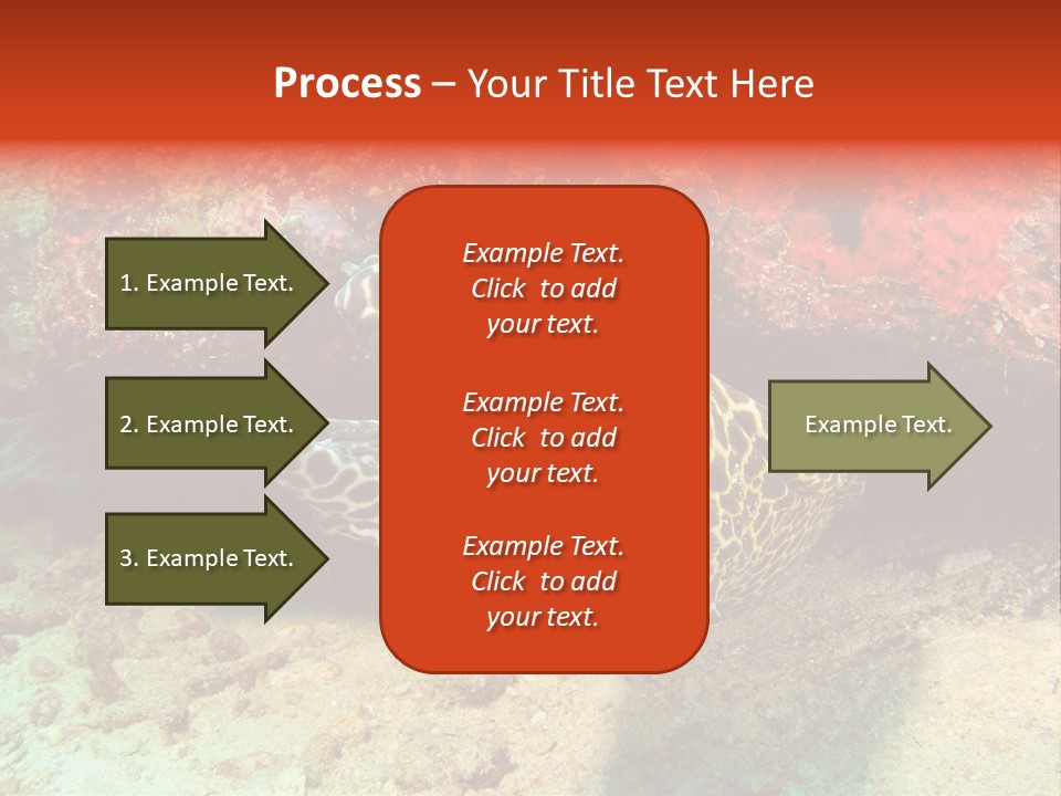 A Large Turtle Is Laying On The Ocean Floor PowerPoint Template