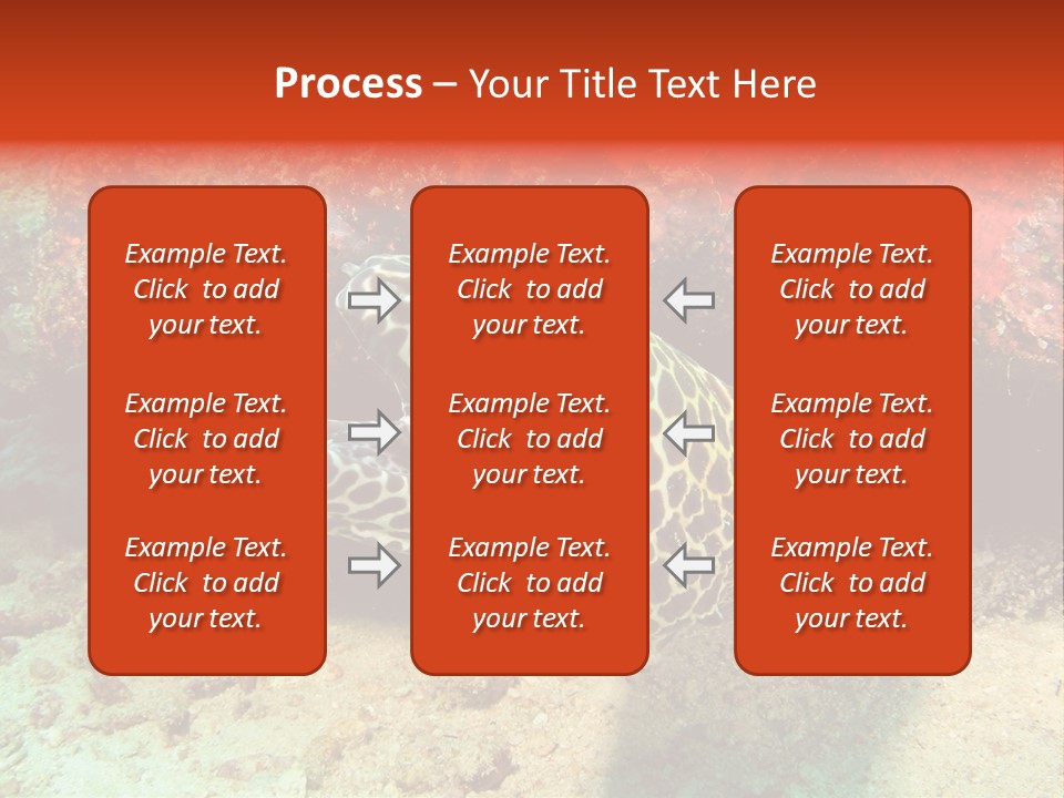 A Large Turtle Is Laying On The Ocean Floor PowerPoint Template