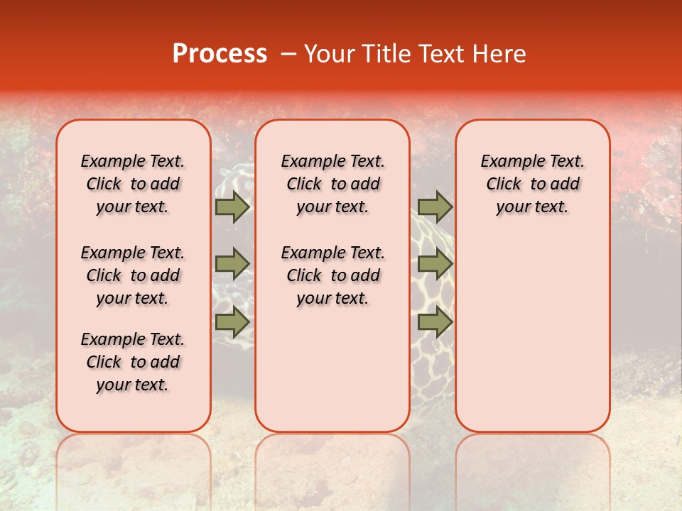 A Large Turtle Is Laying On The Ocean Floor PowerPoint Template