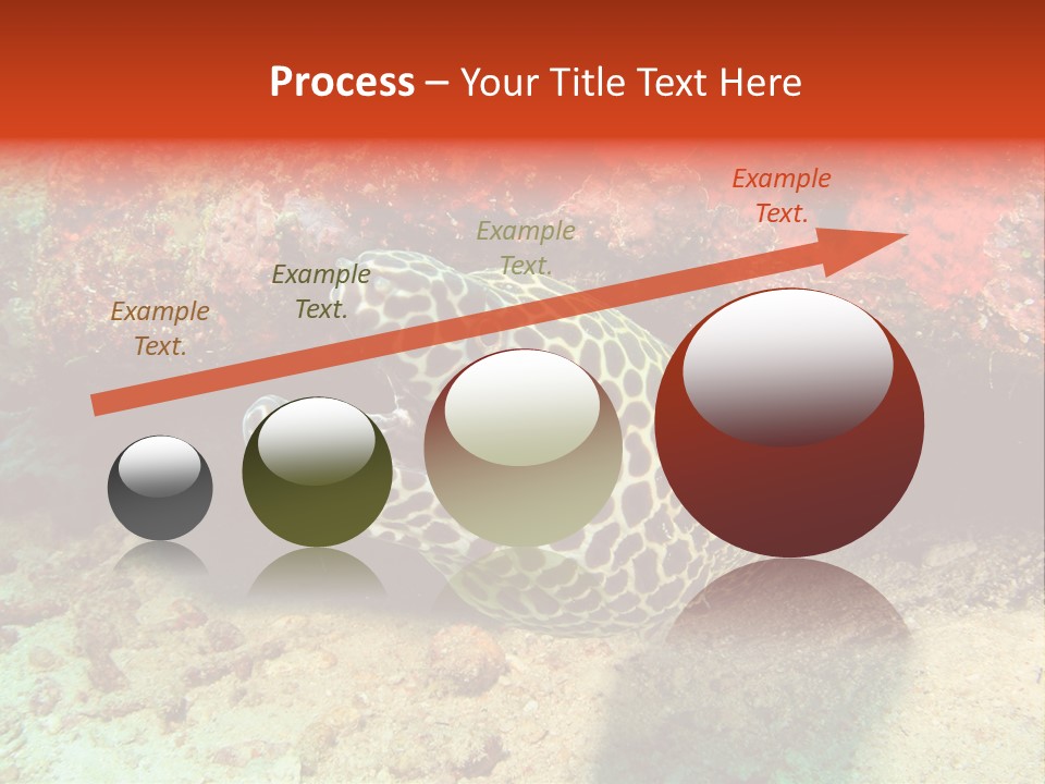 A Large Turtle Is Laying On The Ocean Floor PowerPoint Template