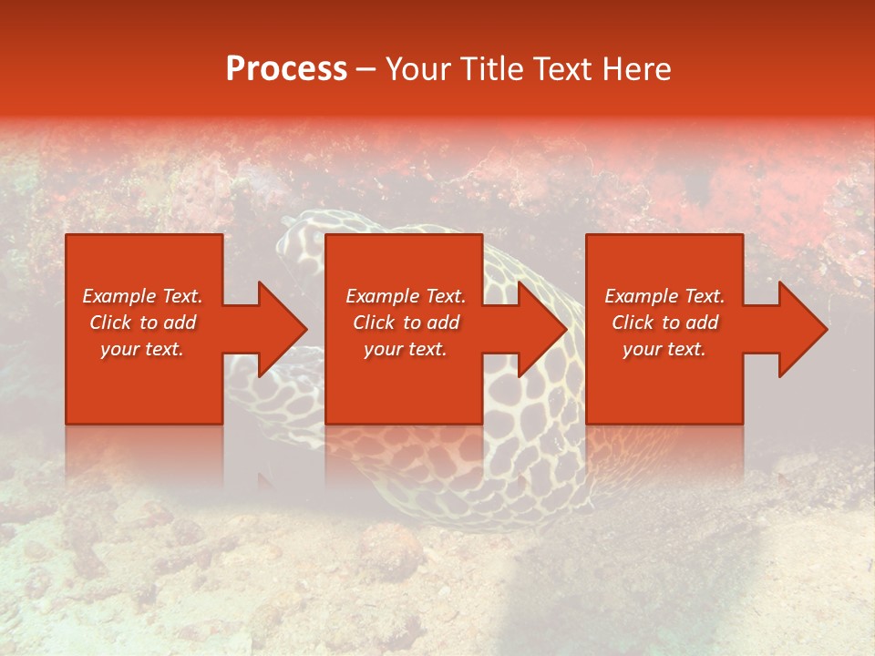 A Large Turtle Is Laying On The Ocean Floor PowerPoint Template