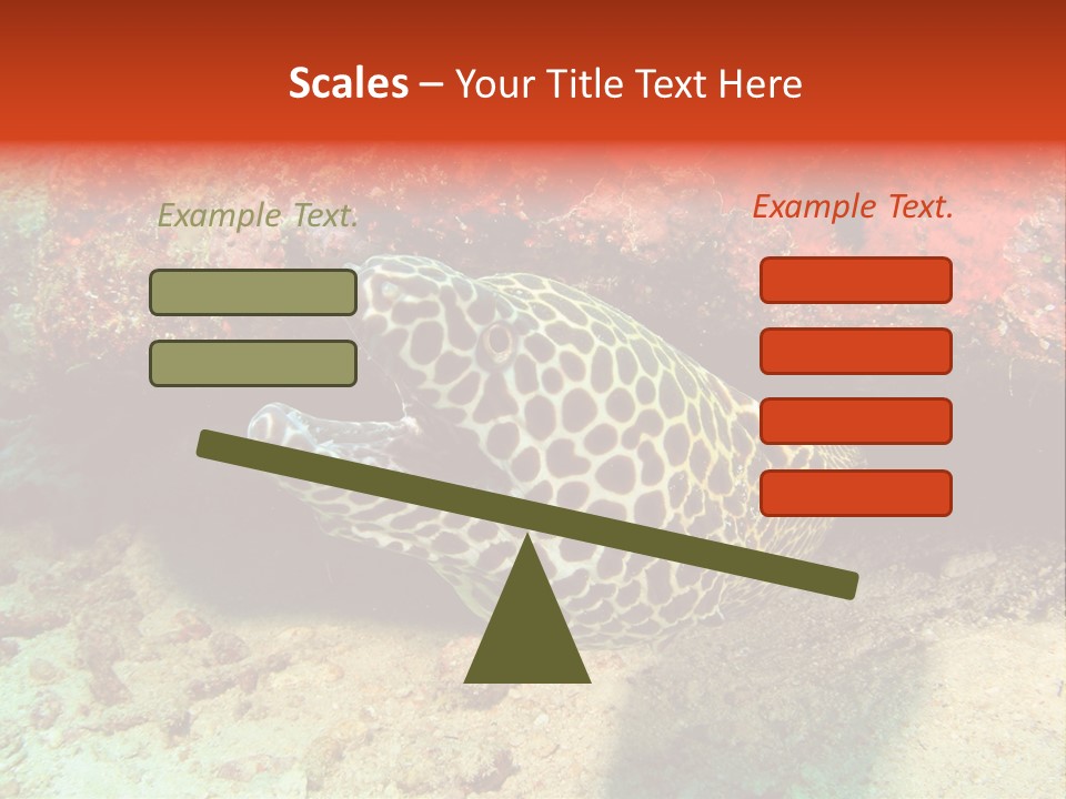 A Large Turtle Is Laying On The Ocean Floor PowerPoint Template