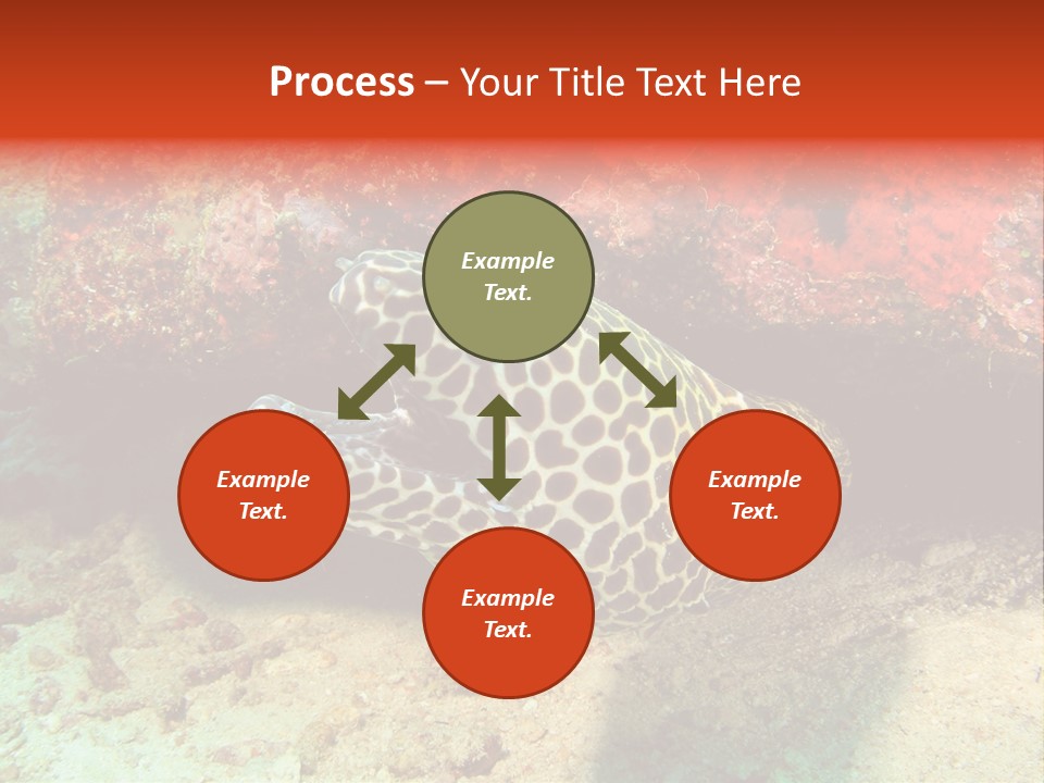 A Large Turtle Is Laying On The Ocean Floor PowerPoint Template
