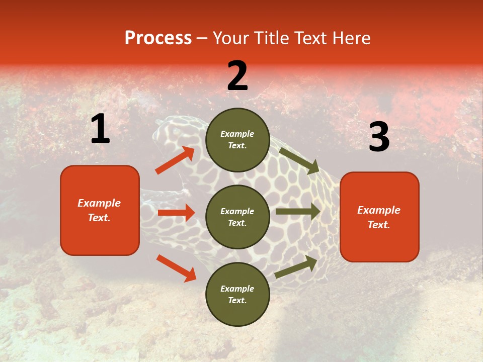 A Large Turtle Is Laying On The Ocean Floor PowerPoint Template