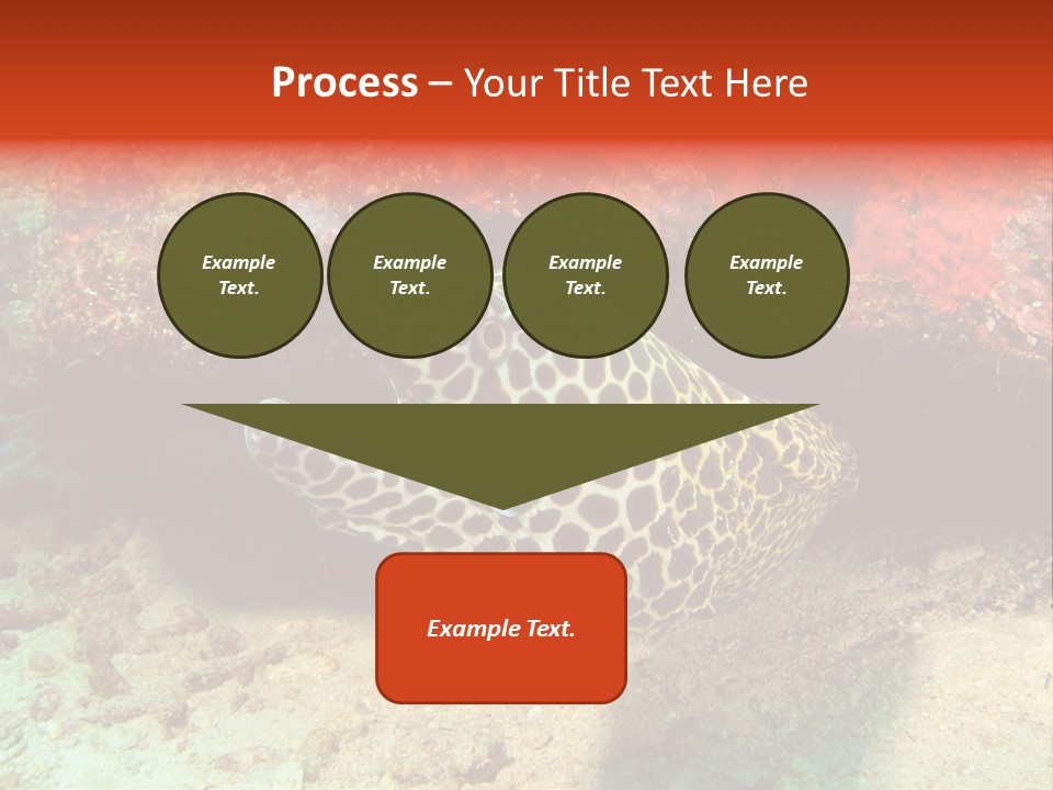 A Large Turtle Is Laying On The Ocean Floor PowerPoint Template