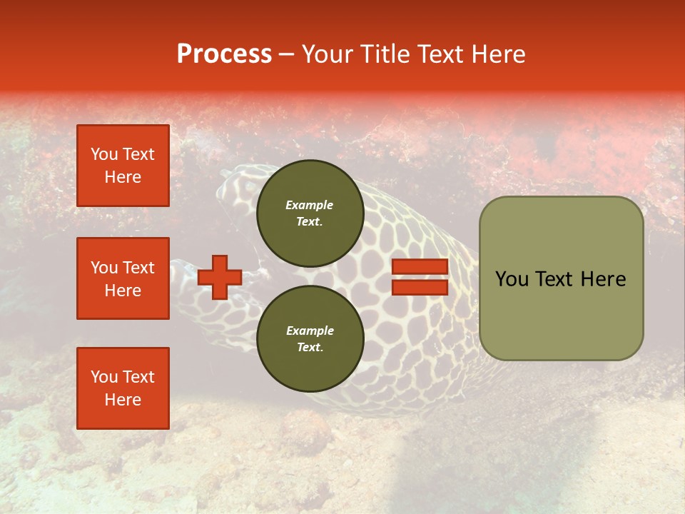 A Large Turtle Is Laying On The Ocean Floor PowerPoint Template