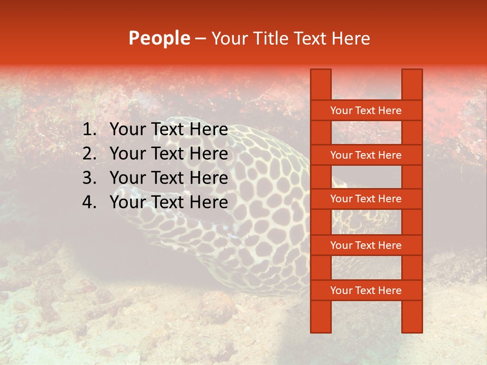 A Large Turtle Is Laying On The Ocean Floor PowerPoint Template