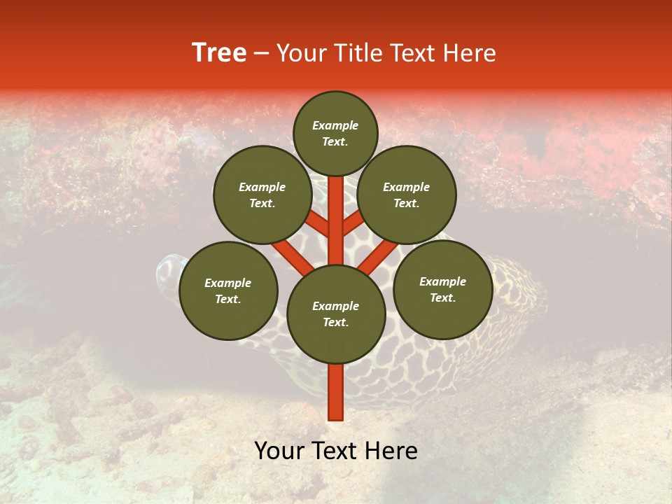 A Large Turtle Is Laying On The Ocean Floor PowerPoint Template