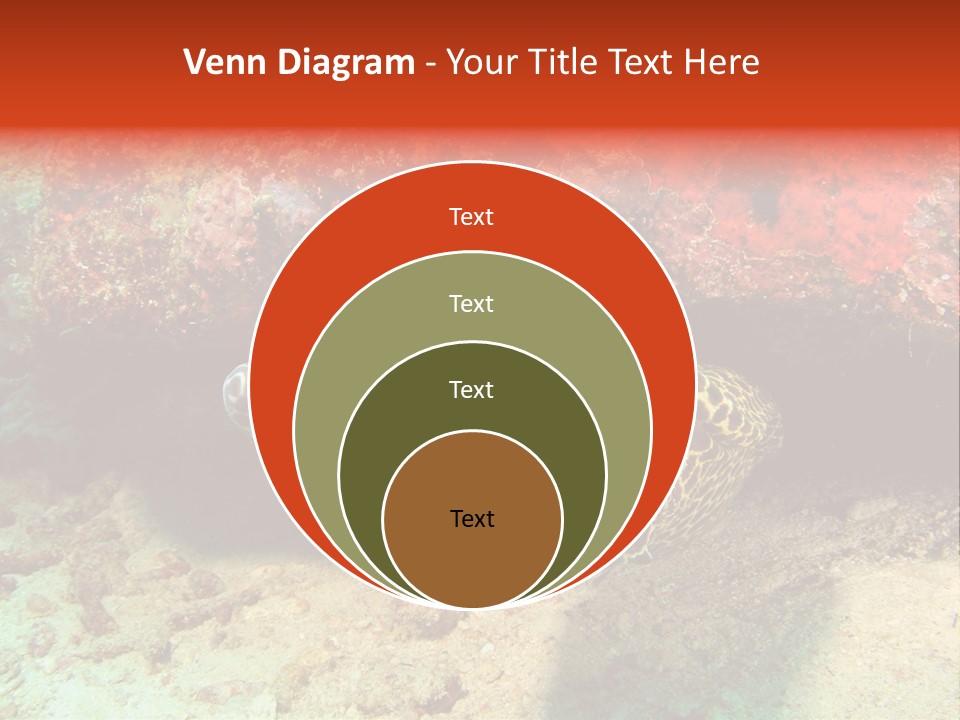 A Large Turtle Is Laying On The Ocean Floor PowerPoint Template