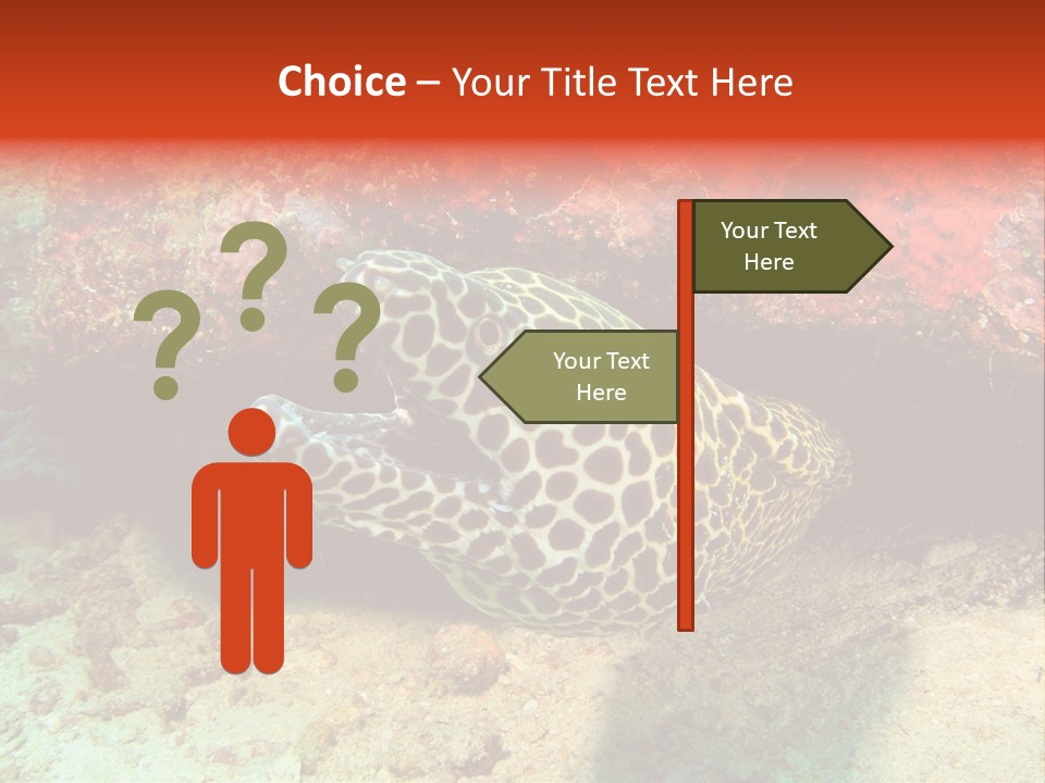 A Large Turtle Is Laying On The Ocean Floor PowerPoint Template