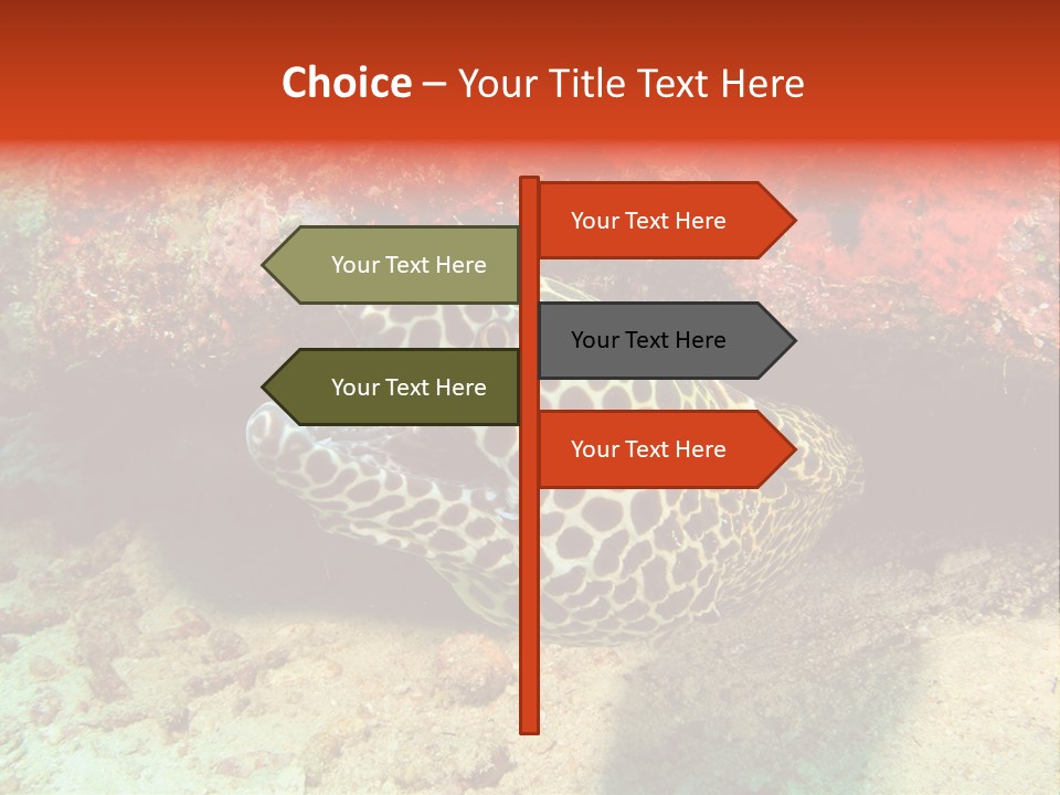 A Large Turtle Is Laying On The Ocean Floor PowerPoint Template
